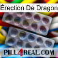 Érection De Dragon 31
